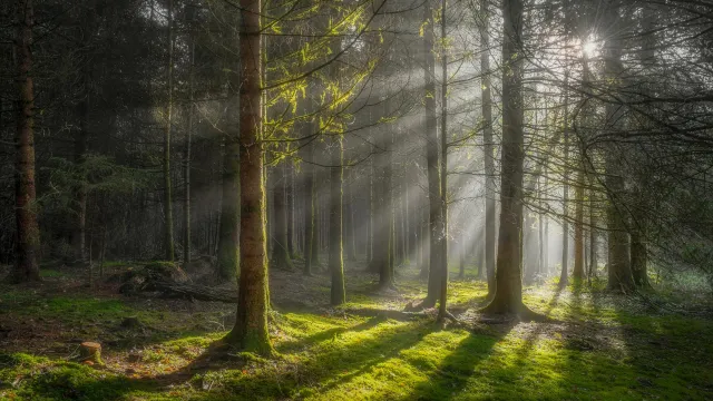 Ảnh bìa: Khi "Trắng" và "Đen" Cùng Ngồi Chung Một Bàn: Nghệ Thuật Cân Bằng Trong Lục Nhâm