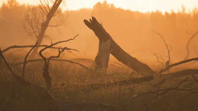 Ảnh bìa: Hình trong Lục Nhâm: từ triết lý đến kỹ thuật "Dụng hình"