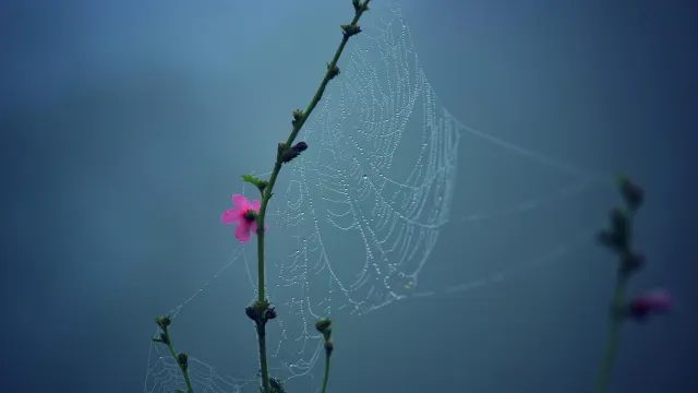 Ảnh bìa: Lục Nhâm Đại Độn Là Gì? Cách Vận Hành và Ứng Dụng Thực Tế